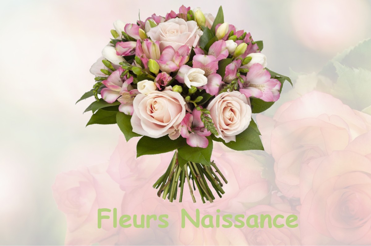 fleurs naissance BOESSE-LE-SEC